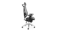 ErgoCentric TCentric Hybrid Chair -Office Chair ergocentric tcentric hybrid chair erc120 3 37348.1490815316