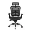 Raynor Ergohuman Chair ME7ERG - Mesh With Headrest -Office Chair ergohuman me7 black RAY344 03521.1509395411