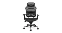 Raynor Ergohuman Chair ME7ERG - Mesh With Headrest