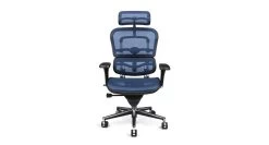 Raynor Ergohuman Chair ME7ERG - Mesh With Headrest -Office Chair ergohuman me7 blue RAY344 57023.1493236611