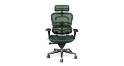 Raynor Ergohuman Chair ME7ERG - Mesh With Headrest -Office Chair ergohuman me7 green RAY344 83168.1493236611