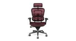 Raynor Ergohuman Chair ME7ERG - Mesh With Headrest -Office Chair ergohuman me7 plum RAY344 40913.1493236611