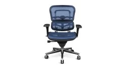 Raynor Ergohuman Mesh Chair ME8ERGLO -Office Chair ergohuman me8 blue RAY342 27747.1493236951