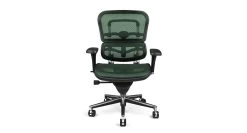 Raynor Ergohuman Mesh Chair ME8ERGLO -Office Chair ergohuman me8 green RAY342 87879.1493236951