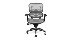Raynor Ergohuman Mesh Chair ME8ERGLO -Office Chair ergohuman me8 grey RAY342 83292.1493236951