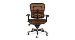 Raynor Ergohuman Mesh Chair ME8ERGLO -Office Chair ergohuman me8 orange RAY342 51092.1493236951