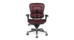 Raynor Ergohuman Mesh Chair ME8ERGLO -Office Chair ergohuman me8 plum RAY342 97819.1493236951