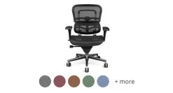 Raynor Ergohuman Mesh Chair ME8ERGLO -Office Chair ergohuman me8 swith swatch 13061.1525192527