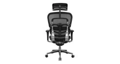 Raynor Ergohuman Mesh Chair With Leather Seat And Headrest LEM4ERG -Office Chair ergohuman mesh leather chair lem4erg ray348 3 53933.1490314976