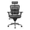 Raynor Ergohuman Mesh Chair With Leather Seat And Headrest LEM4ERG