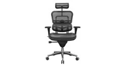 Raynor Ergohuman Mesh Chair With Leather Seat And Headrest LEM4ERG