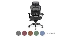 Raynor Ergohuman Chair ME7ERG - Mesh With Headrest -Office Chair ergohumna me7 with swatch 49113.1525192554