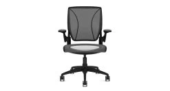 Humanscale Diffrient World Chair