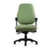 Neutral Posture 6000 Series High Back Ergonomic Chair 1 Neutral Posture 6000 Series High Back Ergonomic Chair -Office Chair neutral posture nps6000 high back chair npc308 15 56838.1490370592