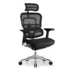 Raynor Ergo Elite Chair With Headrest ME22ERGLT -Office Chair raynor ergo elite chair headrest me22erglt ray657 1 79588.1490295345