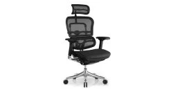 Raynor Ergo Elite Chair With Headrest ME22ERGLT
