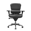 Raynor Ergohuman Chair LE10ERGLO 1 Raynor Ergohuman Chair LE10ERGLO -Office Chair raynor ergohuman le10erglo chair ray345 5 27081.1490722704