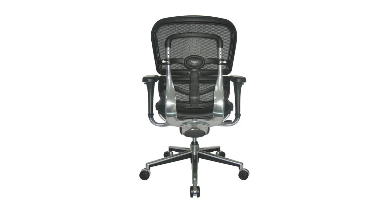 Raynor Ergohuman Chair - Mesh Chair With Leather Seat LEM6ERGLO 4 Raynor Ergohuman Chair - Mesh Chair With Leather Seat LEM6ERGLO - Image 2