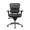 Raynor Ergohuman Chair - Mesh Chair With Leather Seat LEM6ERGLO -Office Chair raynor ergohuman lem6erglo mesh leather ergonomic chair ray343 5 53587.1490725236