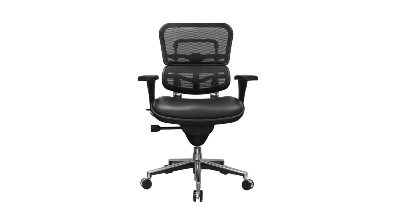 Raynor Ergohuman Chair - Mesh Chair With Leather Seat LEM6ERGLO 3 Raynor Ergohuman Chair - Mesh Chair With Leather Seat LEM6ERGLO