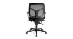 Raynor Apollo MFT9450 Multi-function Ergonomic Task Chair -Office Chair raynor eurotech apollo mft9450 mesh ergonomic chair ray313 2 97339.1488667196