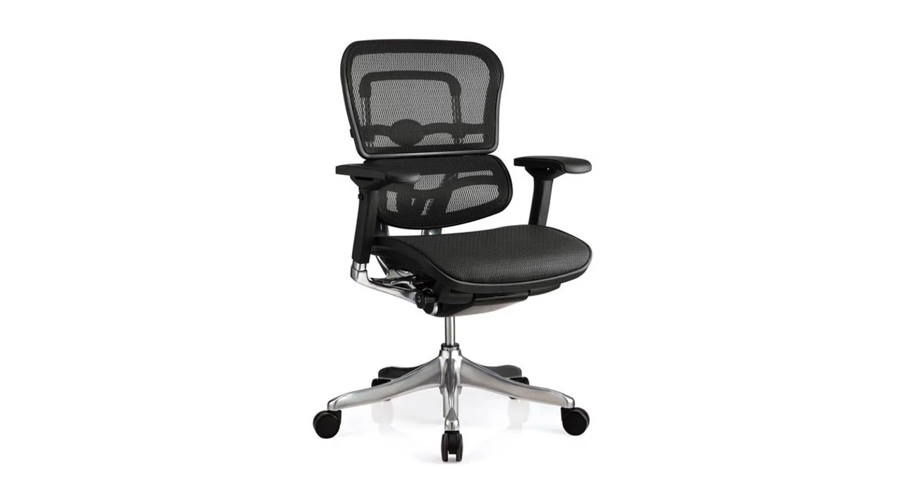 Raynor Ergo Elite Chair ME5ERGLTLO 5 Raynor Ergo Elite Chair ME5ERGLTLO - Image 3