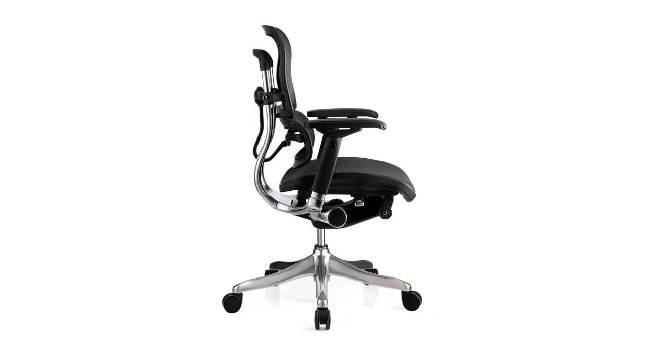 Raynor Ergo Elite Chair ME5ERGLTLO 4 Raynor Ergo Elite Chair ME5ERGLTLO - Image 2