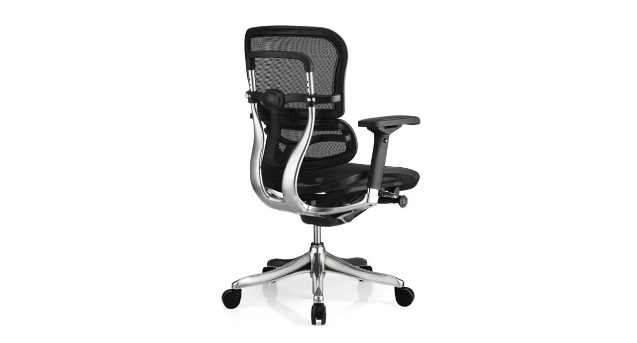 Raynor Ergo Elite Chair ME5ERGLTLO 6 Raynor Ergo Elite Chair ME5ERGLTLO - Image 4