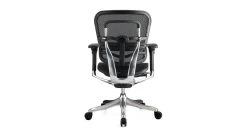 Raynor Ergo Elite Chair ME5ERGLTLO 11 Raynor Ergo Elite Chair ME5ERGLTLO -Office Chair raynor eurotech ergo elite low ray656 4 94150.1488982801