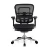 Raynor Ergo Elite Chair ME5ERGLTLO -Office Chair raynor eurotech ergo elite low ray656 73353.1490810491